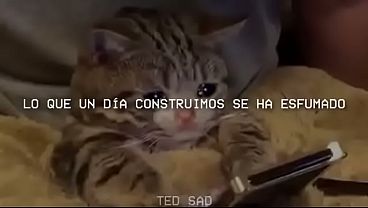 Chicos sadomasoquistas se corren con música de fondo